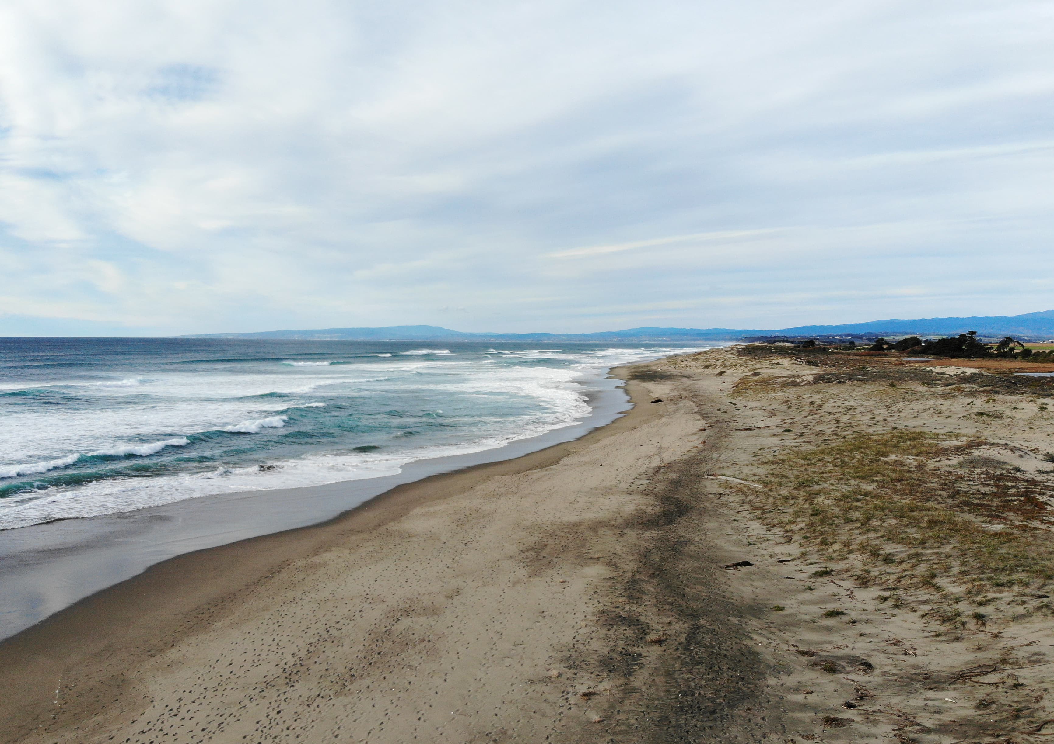 moss landing
