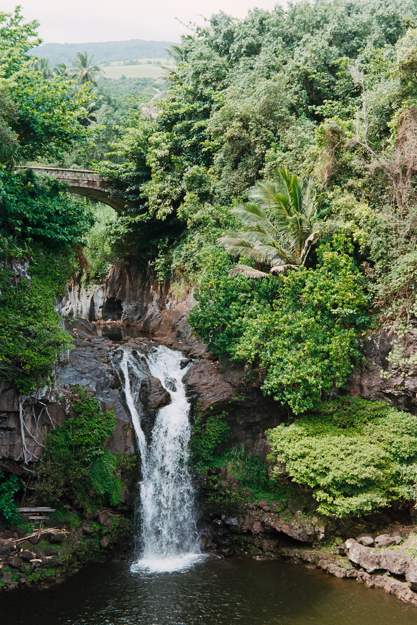 maui 7