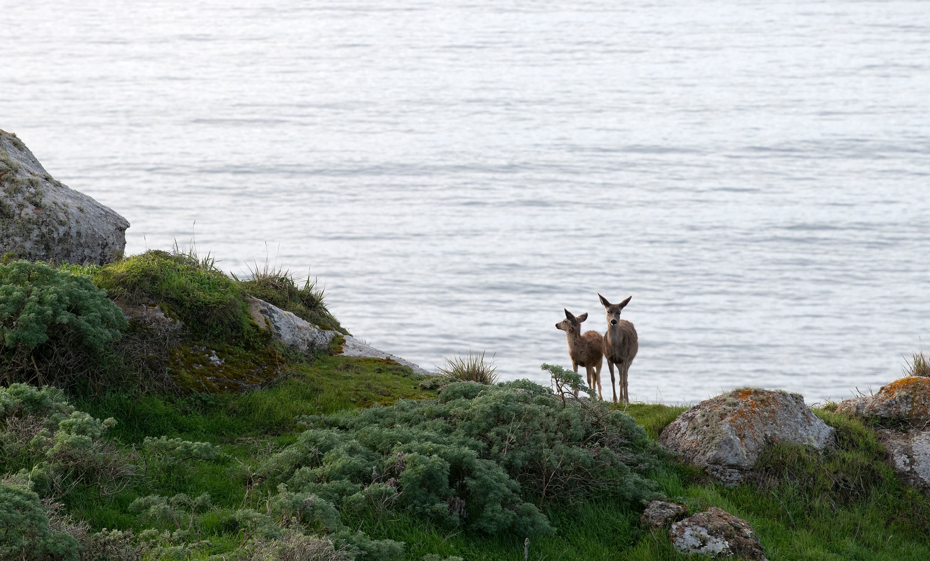 04 point reyes