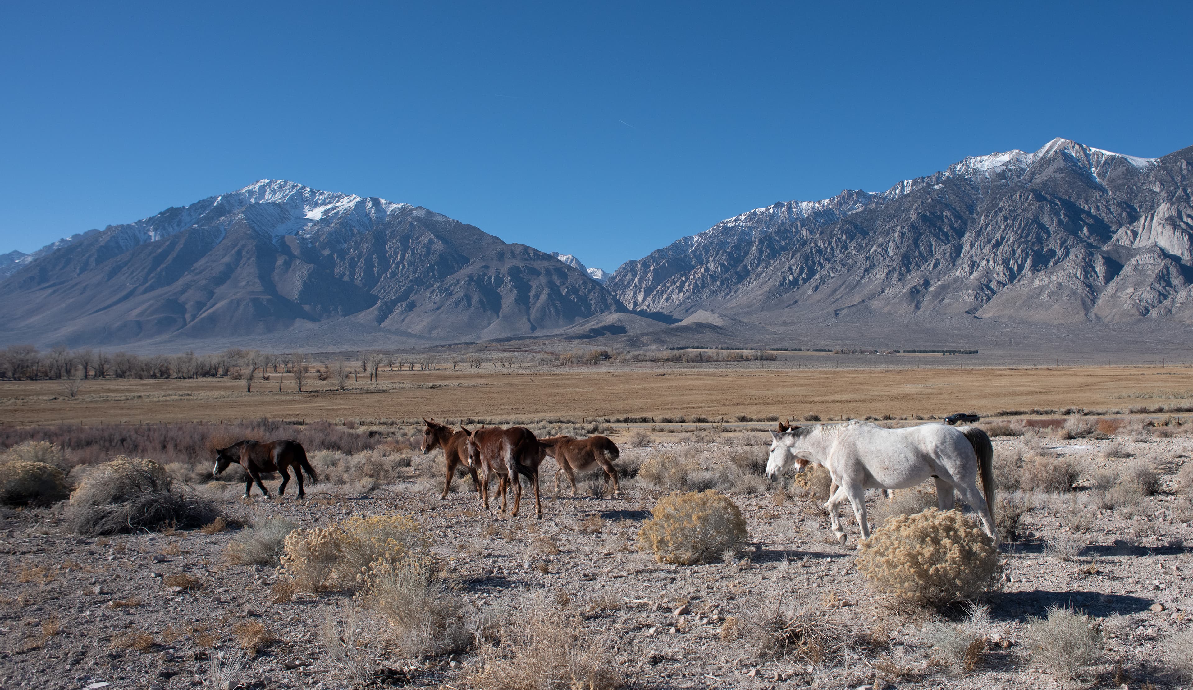 inyo county