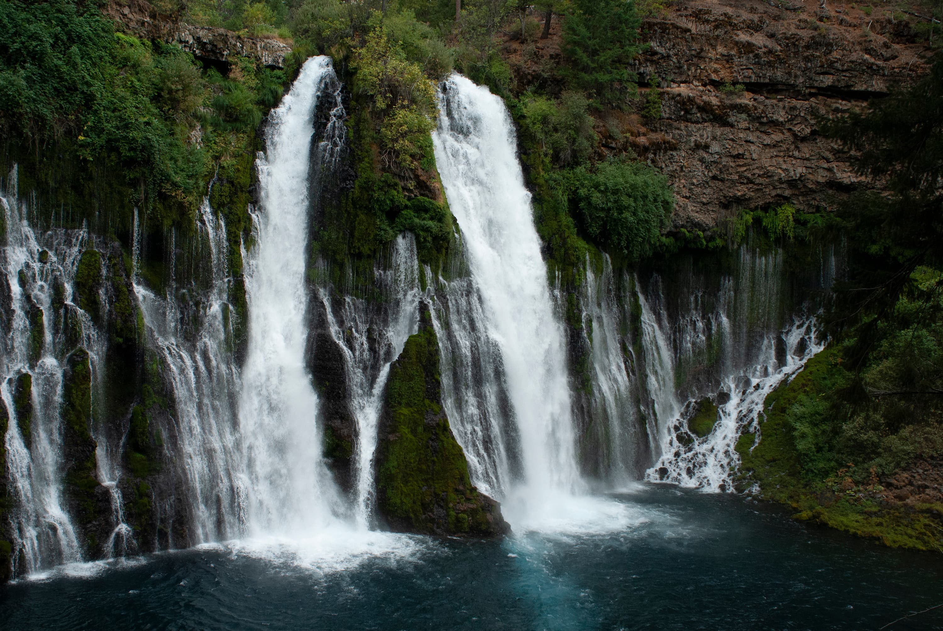 shasta 01
