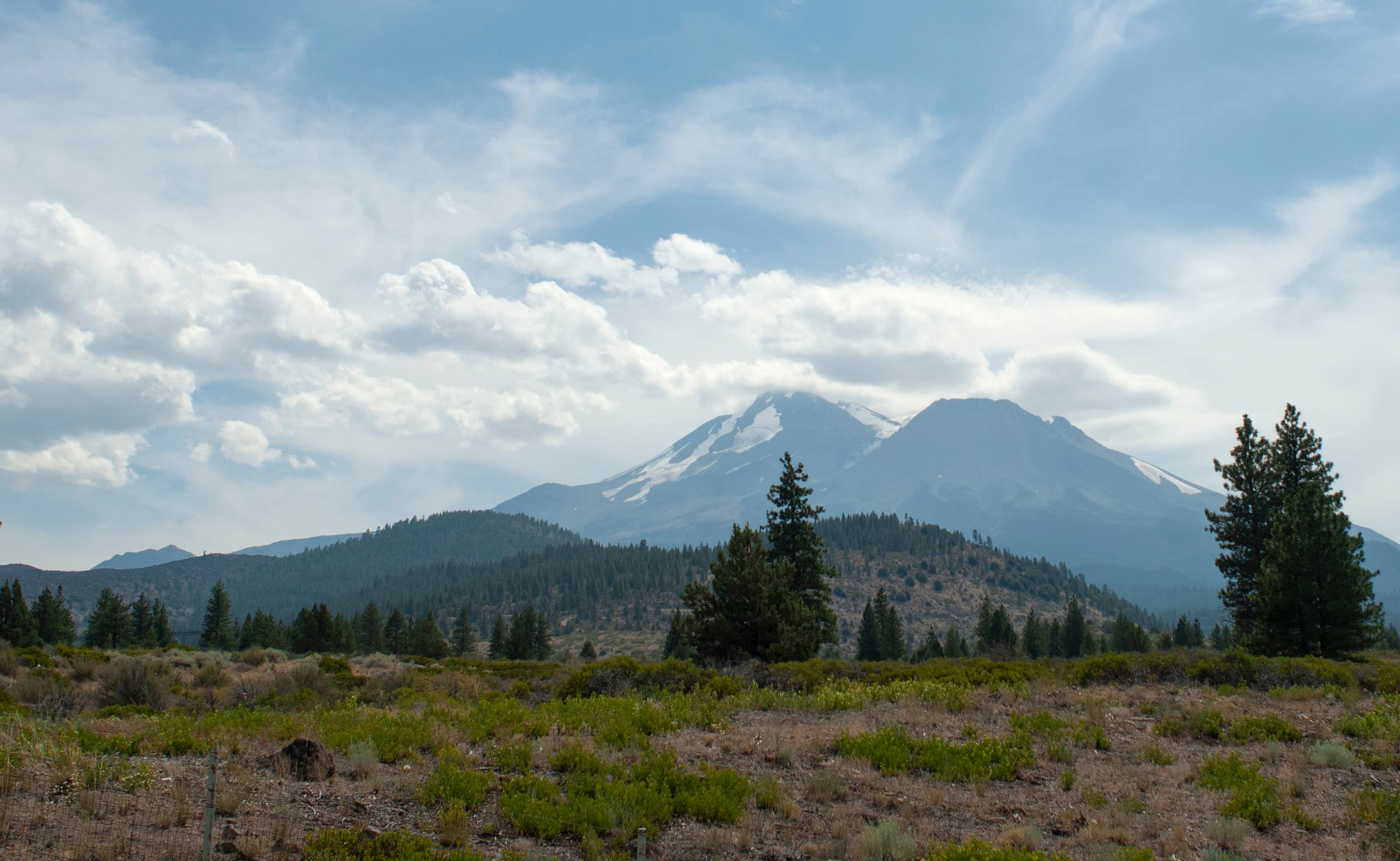 shasta 07