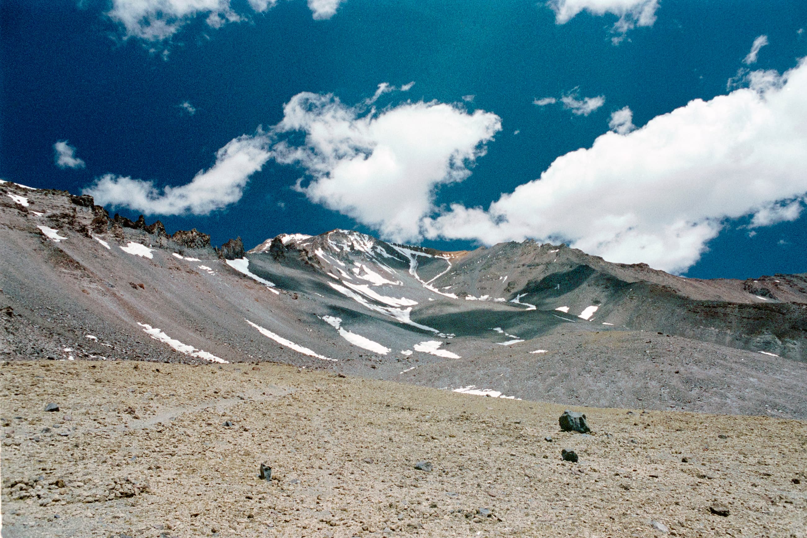 shasta