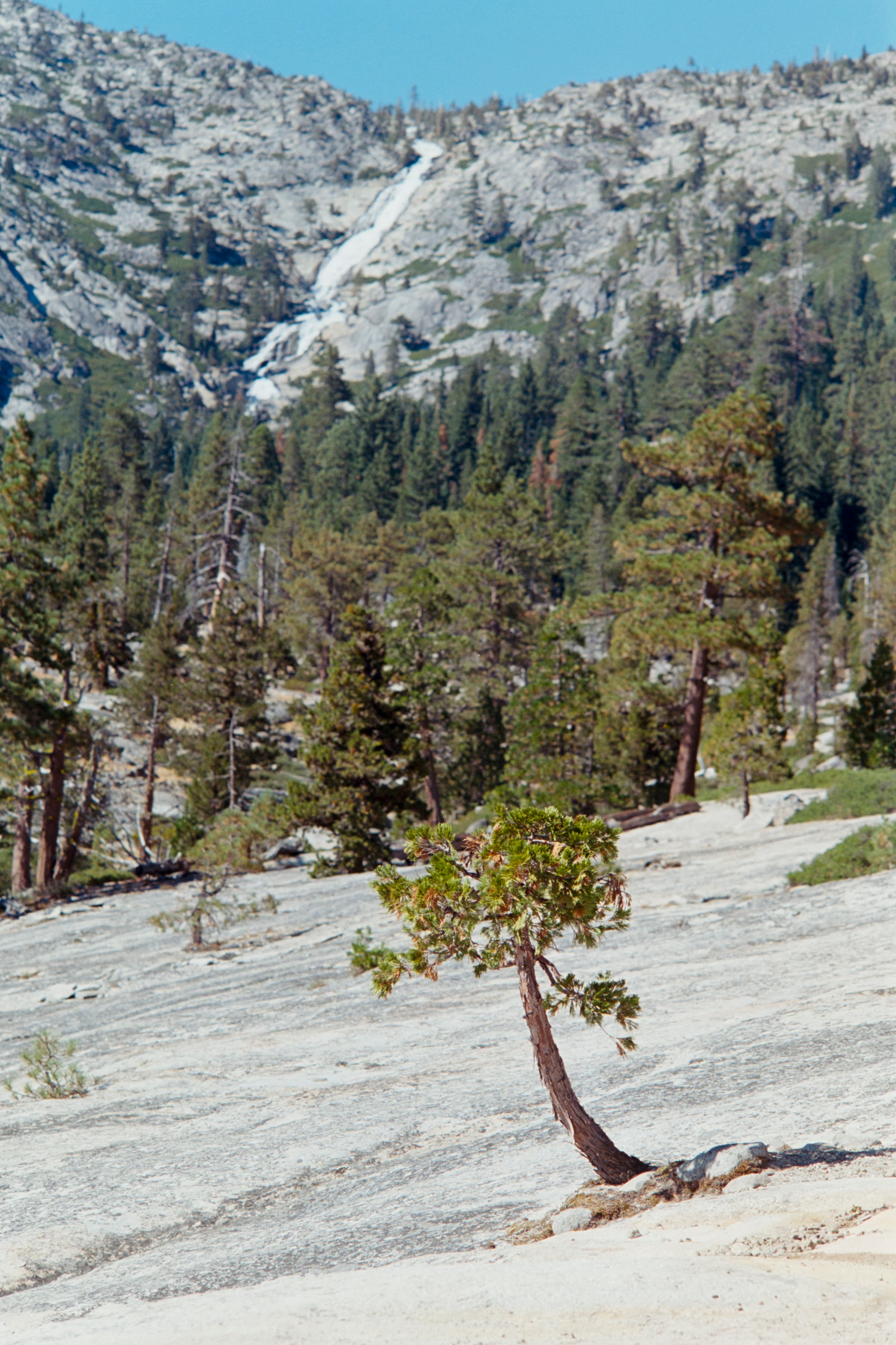 tahoe 01