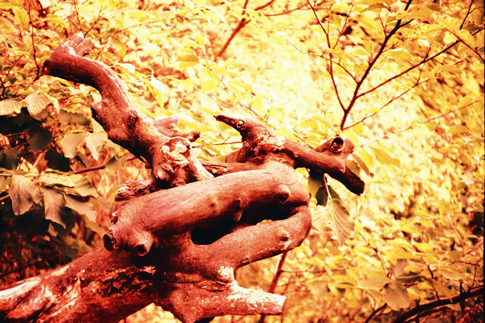 redscale