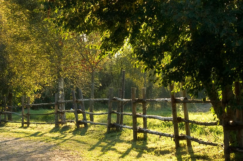 aziarco