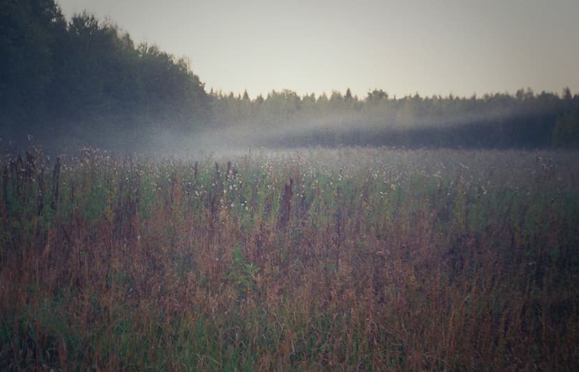 field