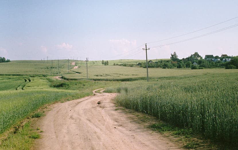 lazovy kust