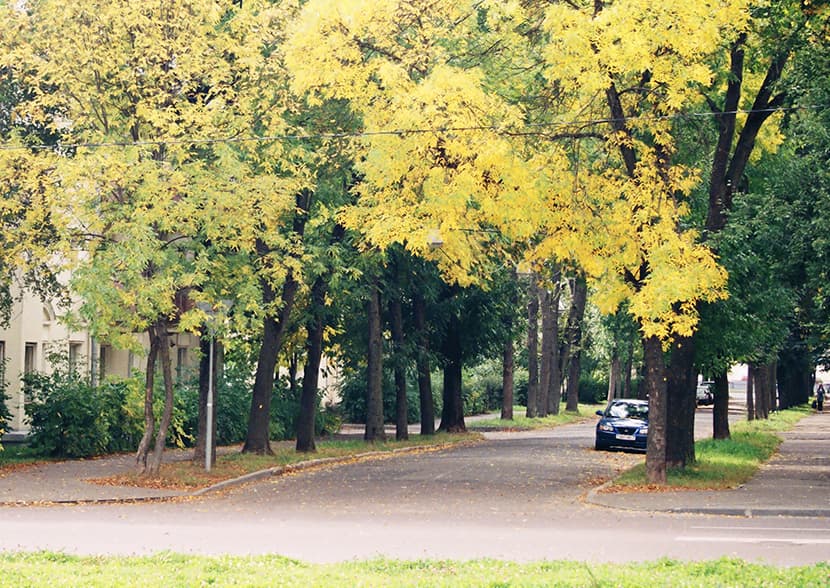 minsk fall