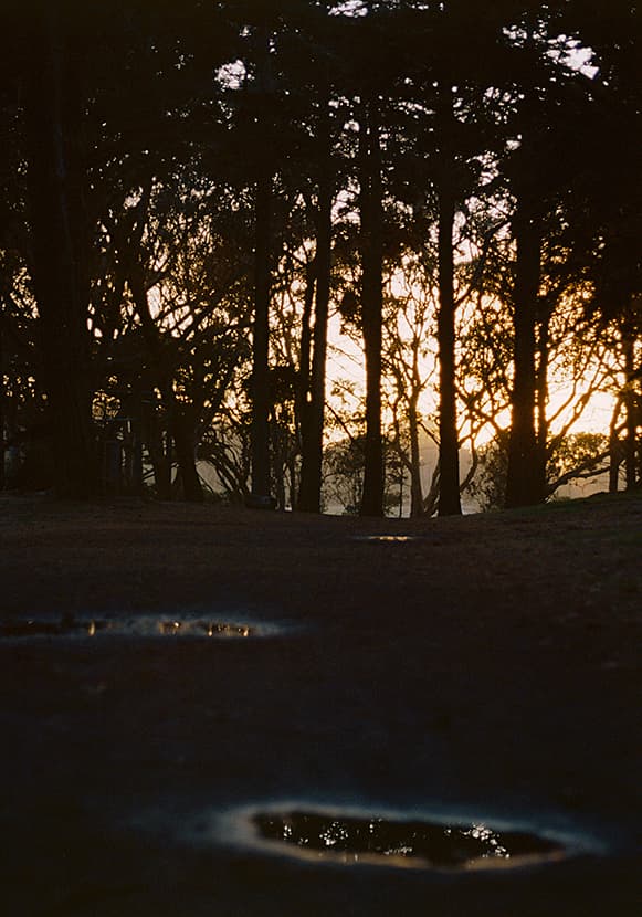 golden gate park