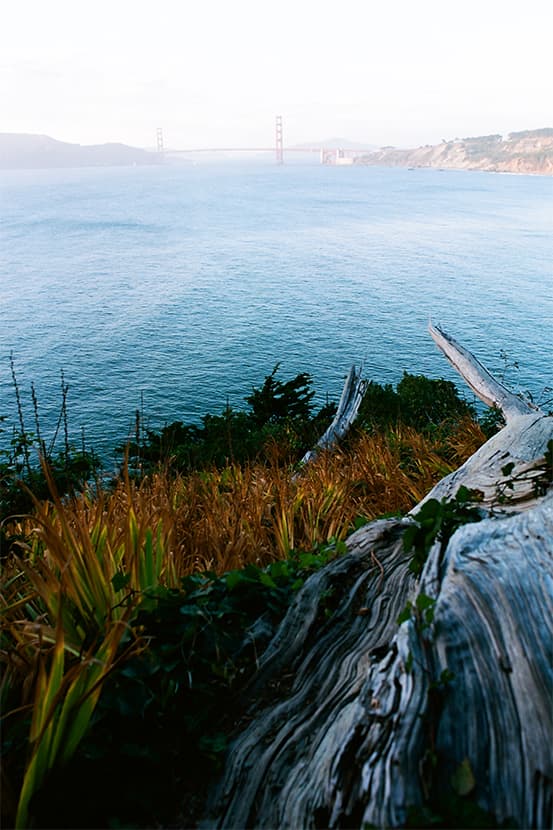 lands end